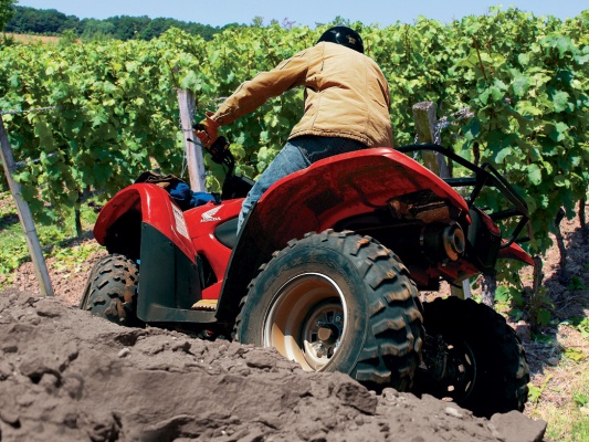 Фото квадроцикла Honda TRX420FA